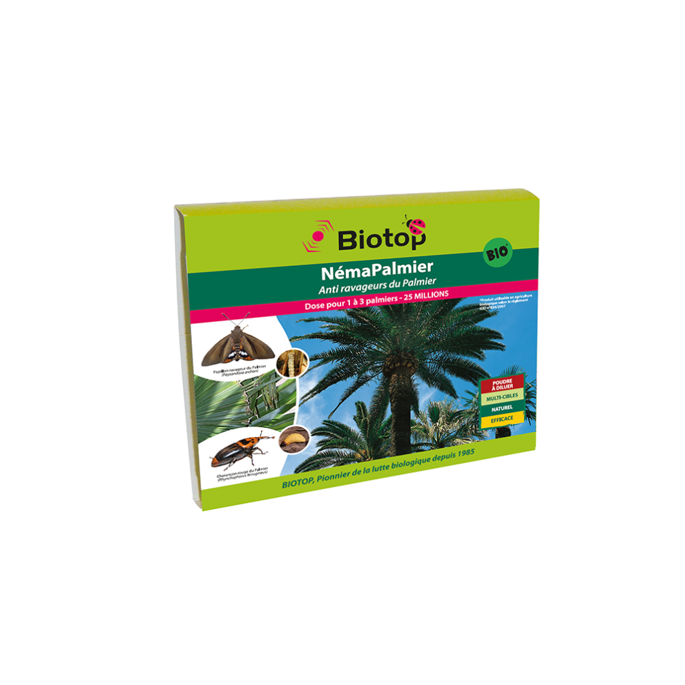 Anti-ravageur du Palmier - NémaPalmier