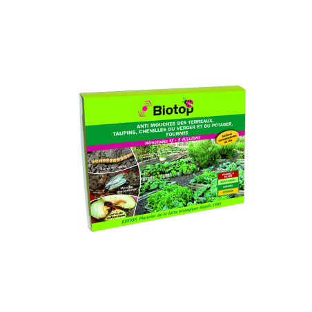 Anti-fourmis - Nématodes SF pour 5 fourmilières