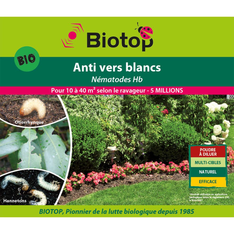 Anti-vers blancs - Nématodes HB