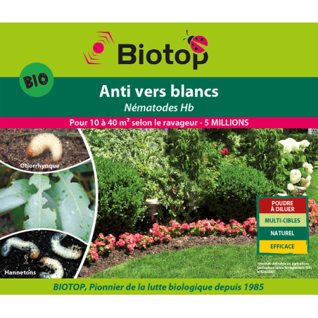 Nématodes anti-vers blanc