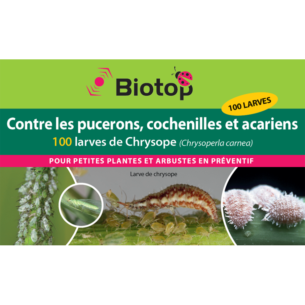 Anti-pucerons pour plantes basses-...