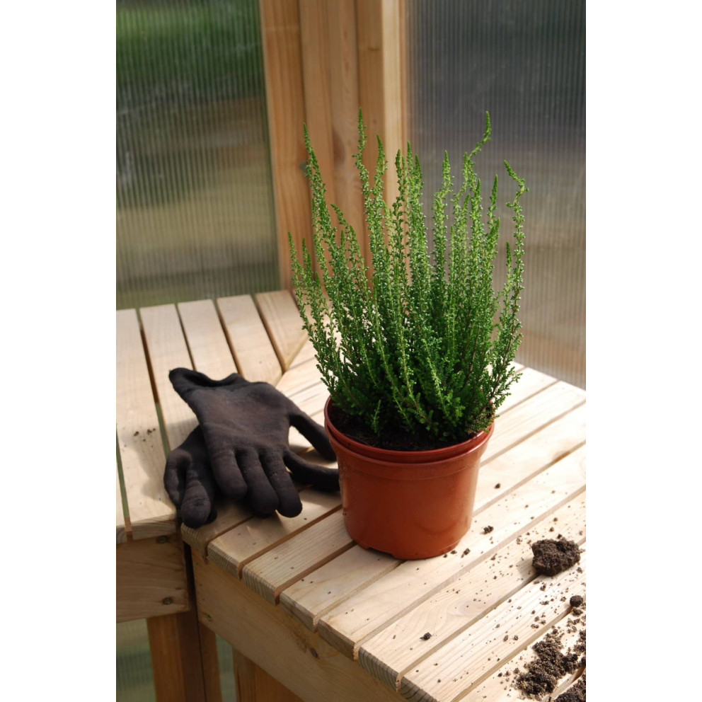 Serre en bois au style édouardien