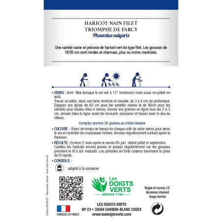 Graines d'Haricots nains 'Triomphe de Farcy'